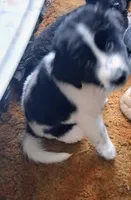 processed/72751400-0442-48a2-bb08-97bc8773c175/listing/dc5da69a-afce-4bb9-be54-1fa0e656f4e2/c4ec443f-2114-4df5-8450-f1a955b5dfde