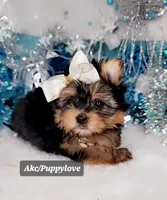 processed/72761671-9426-4b16-b26f-d9e09e565c63/facility/b15a14a4-0df3-414b-a672-a76d72a9bd45