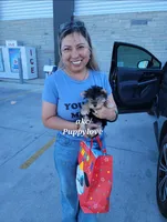 processed/72761671-9426-4b16-b26f-d9e09e565c63/facility/be788cfb-004b-4e8f-9b47-77663e1b1b95