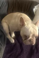 processed/727a4575-8584-4d21-a236-2c70e3fab0a4/listing/0499ae40-78ed-49b5-a0c1-8d13d74d0ae4/128bd204-1059-4262-b2e3-807bf43d3ed3