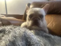 processed/727a4575-8584-4d21-a236-2c70e3fab0a4/listing/0499ae40-78ed-49b5-a0c1-8d13d74d0ae4/16271a4d-4f5f-49df-a177-80e2939d162b