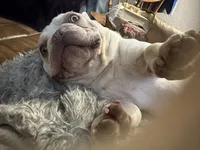 processed/727a4575-8584-4d21-a236-2c70e3fab0a4/listing/0499ae40-78ed-49b5-a0c1-8d13d74d0ae4/51754eb0-d471-4e7b-8235-8b67e0575052