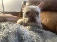 processed/727a4575-8584-4d21-a236-2c70e3fab0a4/listing/0499ae40-78ed-49b5-a0c1-8d13d74d0ae4/8df17516-d5e2-4dad-9577-a5aa706880a1