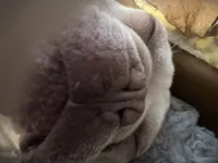 processed/727a4575-8584-4d21-a236-2c70e3fab0a4/listing/0499ae40-78ed-49b5-a0c1-8d13d74d0ae4/efe46838-6f1d-47f6-8432-a869146931c4