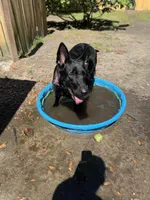 processed/727d9890-3816-4779-a08e-a1ae613c8ccc/facility/3afe1f05-a273-4095-a60d-7dae5d992ddb