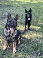 processed/727d9890-3816-4779-a08e-a1ae613c8ccc/facility/4ae4ee29-9e13-43bc-990b-36bd6f721be0