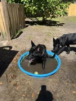 processed/727d9890-3816-4779-a08e-a1ae613c8ccc/facility/722c5563-8798-4ac2-9bd9-45c5534c7599