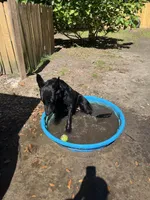 processed/727d9890-3816-4779-a08e-a1ae613c8ccc/facility/e8619a49-71f4-4b1c-aacf-1b94722e7d62