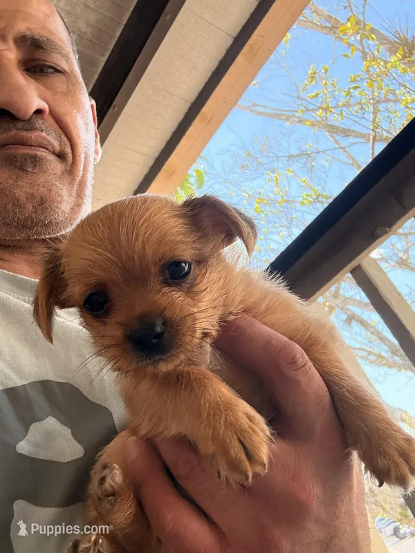 Waiting for you to. Name 