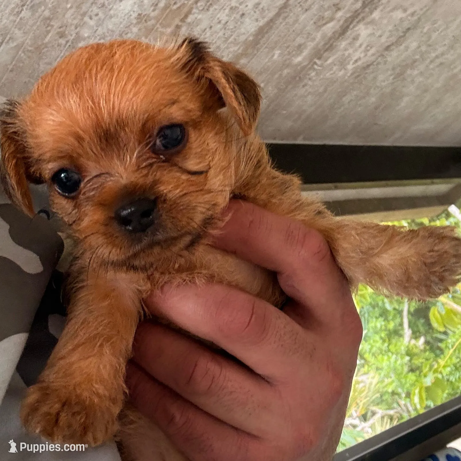 Waiting for you to name me 