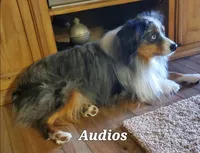 processed/72829a5d-3464-4f9d-9145-74d13c01f97d/facility/bc77ca65-c81d-4f11-9a35-595337d0d98a