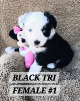 processed/72829a5d-3464-4f9d-9145-74d13c01f97d/listing/ab5e3c59-fbaa-4920-bf29-95affa98d7ec/18d88988-0288-434a-b96b-1e1a5c06e586