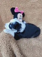 processed/72829a5d-3464-4f9d-9145-74d13c01f97d/listing/ab5e3c59-fbaa-4920-bf29-95affa98d7ec/b2d871ae-28ac-4b5a-9e27-d666a481949c