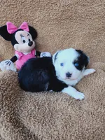 processed/72829a5d-3464-4f9d-9145-74d13c01f97d/listing/ab5e3c59-fbaa-4920-bf29-95affa98d7ec/d983678c-8996-480f-843a-b8ba672b2a13