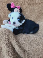 processed/72829a5d-3464-4f9d-9145-74d13c01f97d/listing/ab5e3c59-fbaa-4920-bf29-95affa98d7ec/e1a617f2-76d9-4bff-a1a6-6ba116afe942