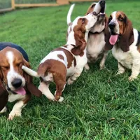 processed/728ec39d-e8f4-426c-845b-c64f79a93644/facility/3c9f8b4b-b79d-4b12-bd84-3cfd3efead2a