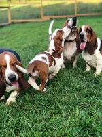 processed/728ec39d-e8f4-426c-845b-c64f79a93644/facility/3c9f8b4b-b79d-4b12-bd84-3cfd3efead2a