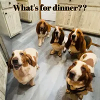 processed/728ec39d-e8f4-426c-845b-c64f79a93644/facility/523d20ff-1f75-4cf5-8292-6cf6ce3a100b