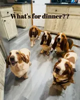 processed/728ec39d-e8f4-426c-845b-c64f79a93644/facility/523d20ff-1f75-4cf5-8292-6cf6ce3a100b