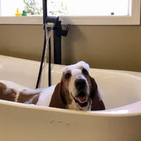 processed/728ec39d-e8f4-426c-845b-c64f79a93644/facility/54e43390-9f55-436b-b23d-de50590cc06a