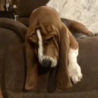 processed/728ec39d-e8f4-426c-845b-c64f79a93644/facility/782626b7-7076-41df-8bdd-ffe8ebb7c7a0