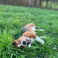 processed/728ec39d-e8f4-426c-845b-c64f79a93644/facility/8fb01f83-942d-42cb-a058-7df915a6ae2d