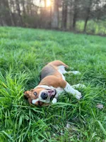 processed/728ec39d-e8f4-426c-845b-c64f79a93644/facility/8fb01f83-942d-42cb-a058-7df915a6ae2d