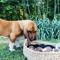 processed/728ec39d-e8f4-426c-845b-c64f79a93644/facility/a96b02c3-c583-4ecb-8859-3438414eb9a4