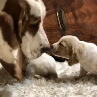 processed/728ec39d-e8f4-426c-845b-c64f79a93644/facility/b2536795-539a-427f-bdb8-23ca1bfcb9e2