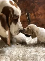 processed/728ec39d-e8f4-426c-845b-c64f79a93644/facility/b2536795-539a-427f-bdb8-23ca1bfcb9e2