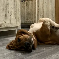 processed/728ec39d-e8f4-426c-845b-c64f79a93644/facility/bc786690-2c47-49ff-ab48-231df5004151