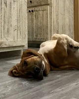 processed/728ec39d-e8f4-426c-845b-c64f79a93644/facility/bc786690-2c47-49ff-ab48-231df5004151