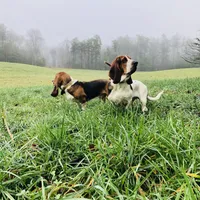 processed/728ec39d-e8f4-426c-845b-c64f79a93644/facility/bdca109a-cbd5-459e-93ac-7734b3f957ce