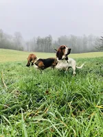 processed/728ec39d-e8f4-426c-845b-c64f79a93644/facility/bdca109a-cbd5-459e-93ac-7734b3f957ce