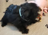 processed/7292bcf6-d4aa-4cf6-8685-0e46b82e0aa3/listing/f450413a-79b8-42a5-b4f1-2e6ff031a2f9/a1350291-4cd6-4932-8ba5-93b29a27da6b