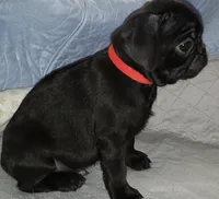 processed/7292bcf6-d4aa-4cf6-8685-0e46b82e0aa3/listing/f7a1f35e-ae66-448b-83d8-080adc54a494/0fd19da0-06c1-408c-b337-15be3ed4d1f8