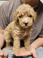 processed/72974680-2c5c-46ad-80e2-2688be2ff921/listing/6b8e9030-e2f5-4b82-82cc-ae550eb5c67f/abb5a8dd-e39e-4087-96f6-7c5dfd6b33ee