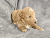 processed/72974680-2c5c-46ad-80e2-2688be2ff921/listing/6b8e9030-e2f5-4b82-82cc-ae550eb5c67f/b4da3728-e734-4e38-bc44-0b8de41aa1a5