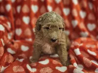 processed/72974680-2c5c-46ad-80e2-2688be2ff921/listing/6b8e9030-e2f5-4b82-82cc-ae550eb5c67f/ee44b6e8-5540-4c8b-8b9f-87824ecc1a49