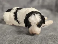 processed/72974680-2c5c-46ad-80e2-2688be2ff921/listing/a7561e90-2bea-45f1-a58c-9edece73fc7b/6ec1b375-caa0-4d29-a040-b7fbe45caad0