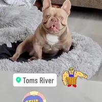 processed/72a13199-7d53-4e47-83be-15dc7efdbe59/facility/35b9bf3e-b0ad-478f-92f7-80b2f94bfbbe