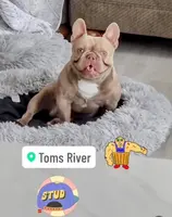 processed/72a13199-7d53-4e47-83be-15dc7efdbe59/facility/35b9bf3e-b0ad-478f-92f7-80b2f94bfbbe