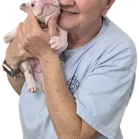 processed/72a13199-7d53-4e47-83be-15dc7efdbe59/facility/d0b8aa6c-5c2f-4136-8806-1c74cafc9564