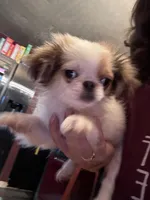 processed/72a38c03-5aa3-41eb-99d2-9aaae4a703c6/facility/090ff1d2-f2cf-4e97-8175-7310eaa55a23