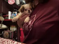 processed/72a38c03-5aa3-41eb-99d2-9aaae4a703c6/facility/0b1fee84-01cc-49a4-af42-7009edc8a31e