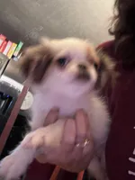 processed/72a38c03-5aa3-41eb-99d2-9aaae4a703c6/facility/7d6934f1-3895-406a-aad5-4d85d32f940b