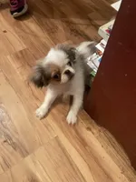 processed/72a38c03-5aa3-41eb-99d2-9aaae4a703c6/facility/cefbe104-4674-401b-a2e6-b0561d9c4fdb