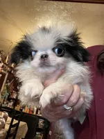 processed/72a38c03-5aa3-41eb-99d2-9aaae4a703c6/facility/f23359c0-6d72-4848-8f97-93933c31eef1