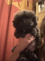 processed/72a38c03-5aa3-41eb-99d2-9aaae4a703c6/listing/8e2edda1-cea8-4a0e-b39c-c34b163a413e/0700d5c5-7586-46f8-9539-8e601b5f6aa9