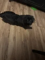 processed/72a38c03-5aa3-41eb-99d2-9aaae4a703c6/listing/8e2edda1-cea8-4a0e-b39c-c34b163a413e/180d8bb0-cf8b-47d5-869a-4fb0079283e3